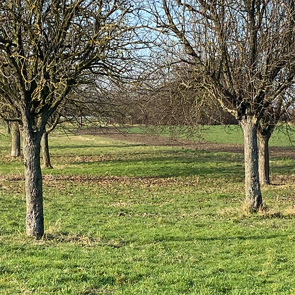 Herbstlaub Herbstlaub